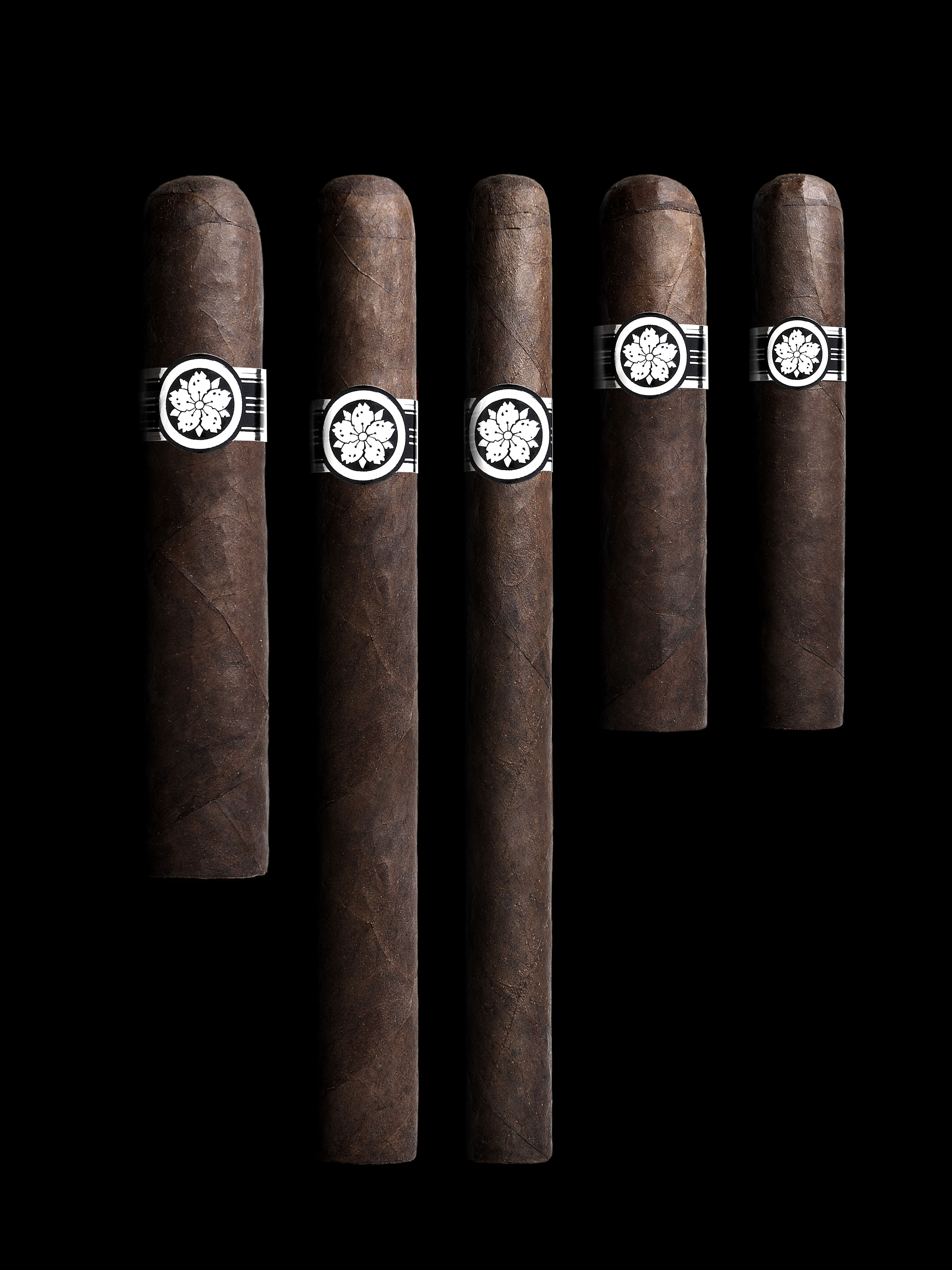 Room101 Master Collection Cigars