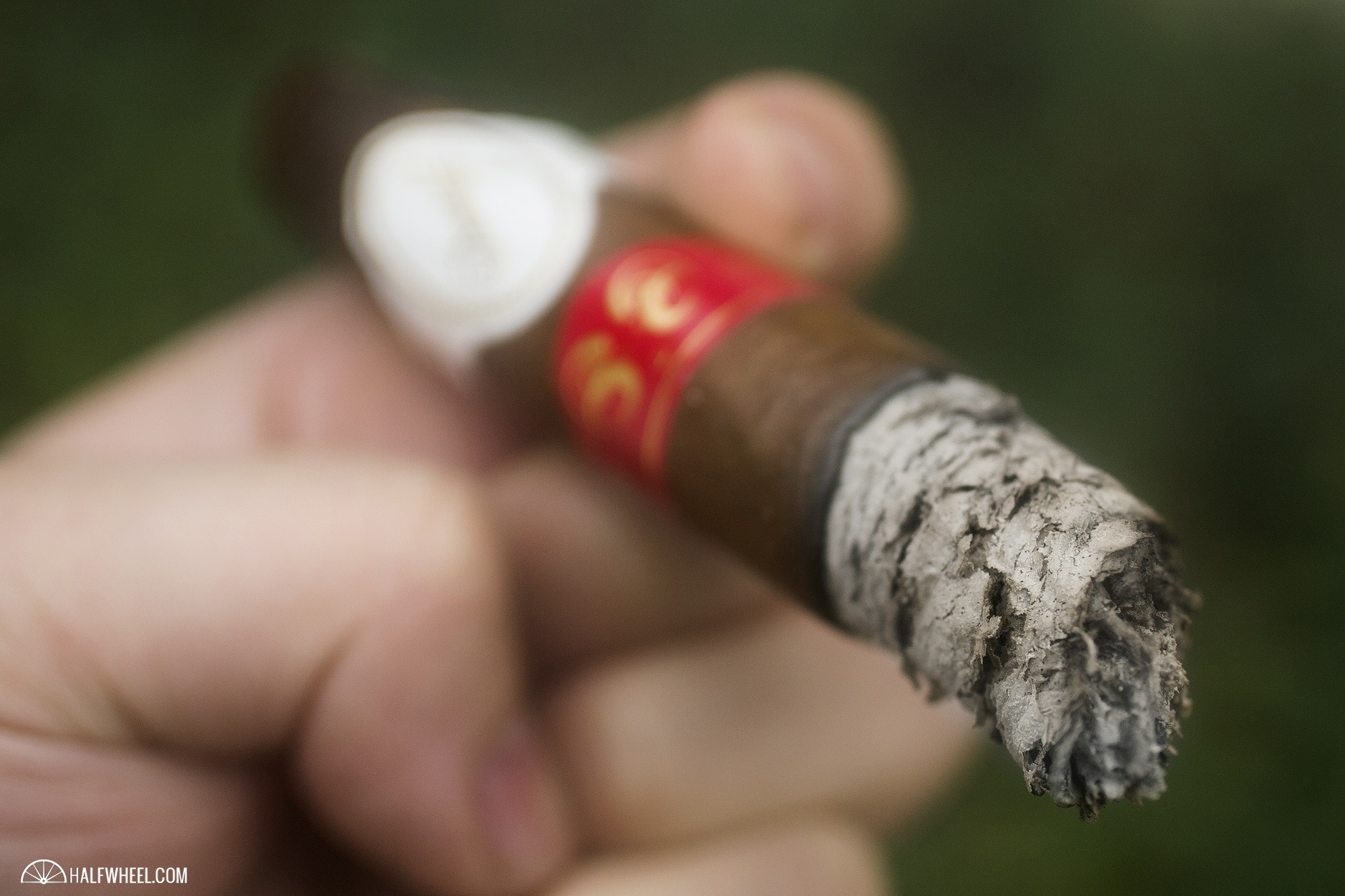Davidoff Limited Edition 2015 Year of the Sheep 3