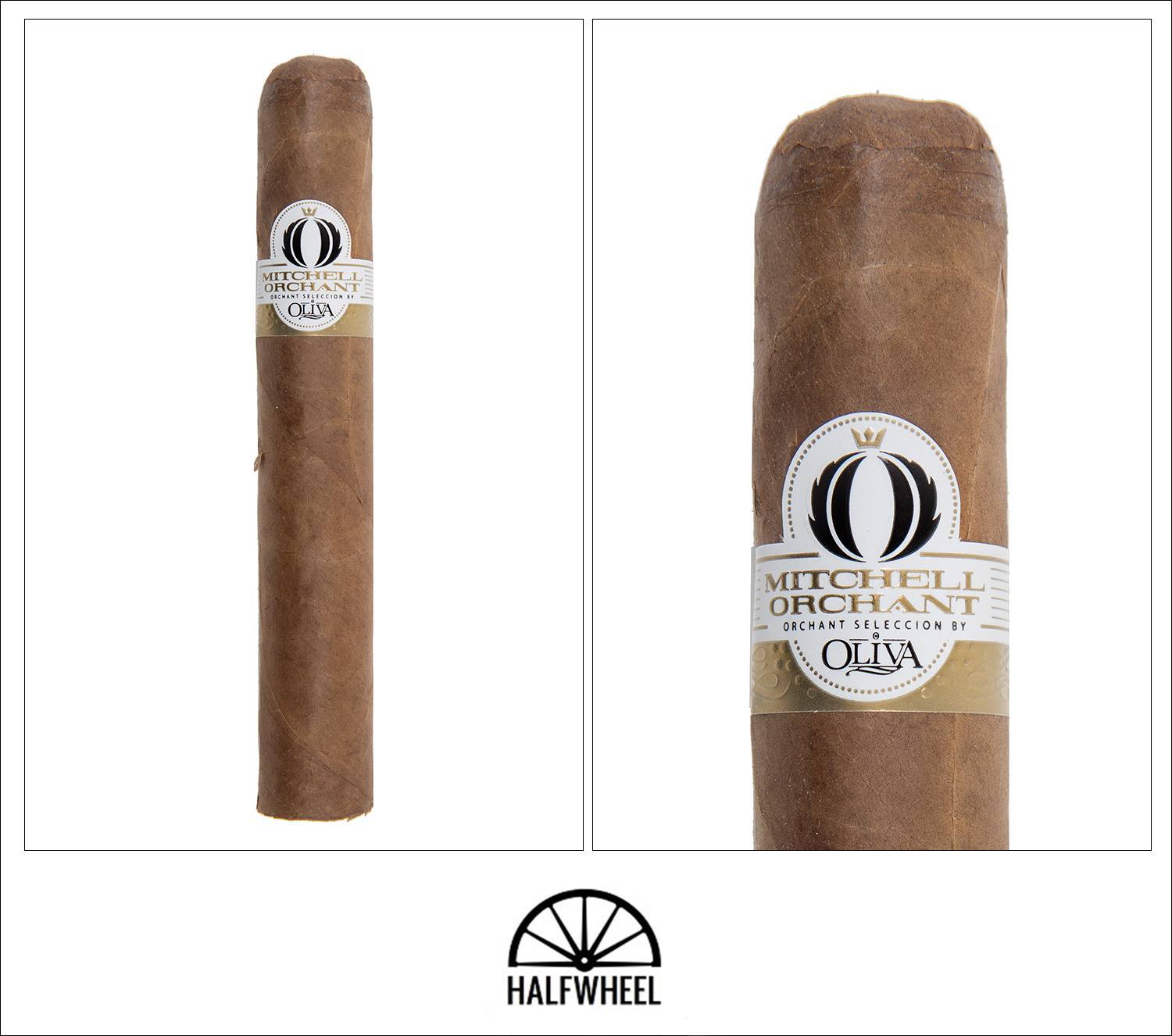 Orchant Seleccion by Oliva Shorty 1