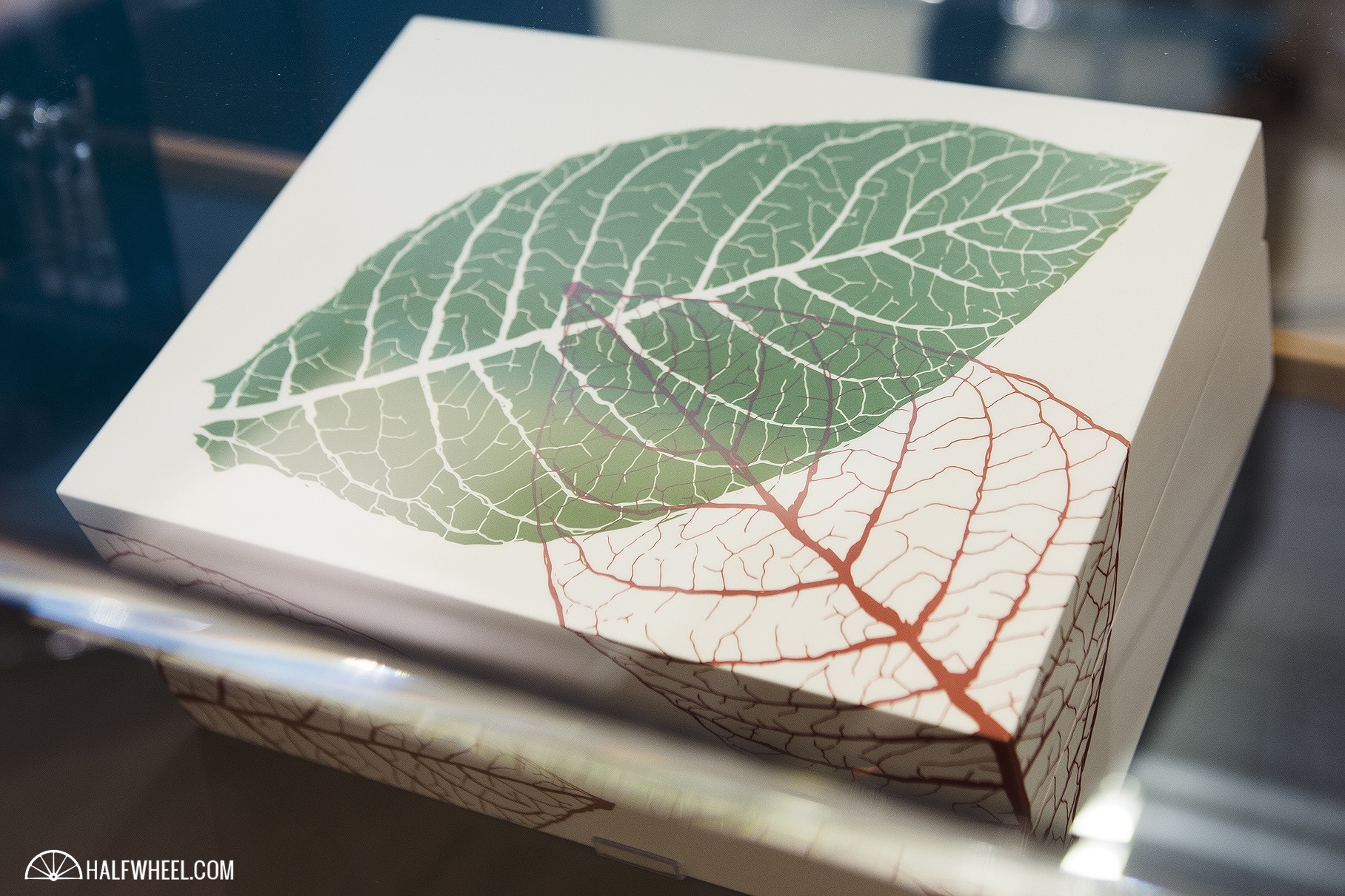 Zino Graphic Leaf Humidor