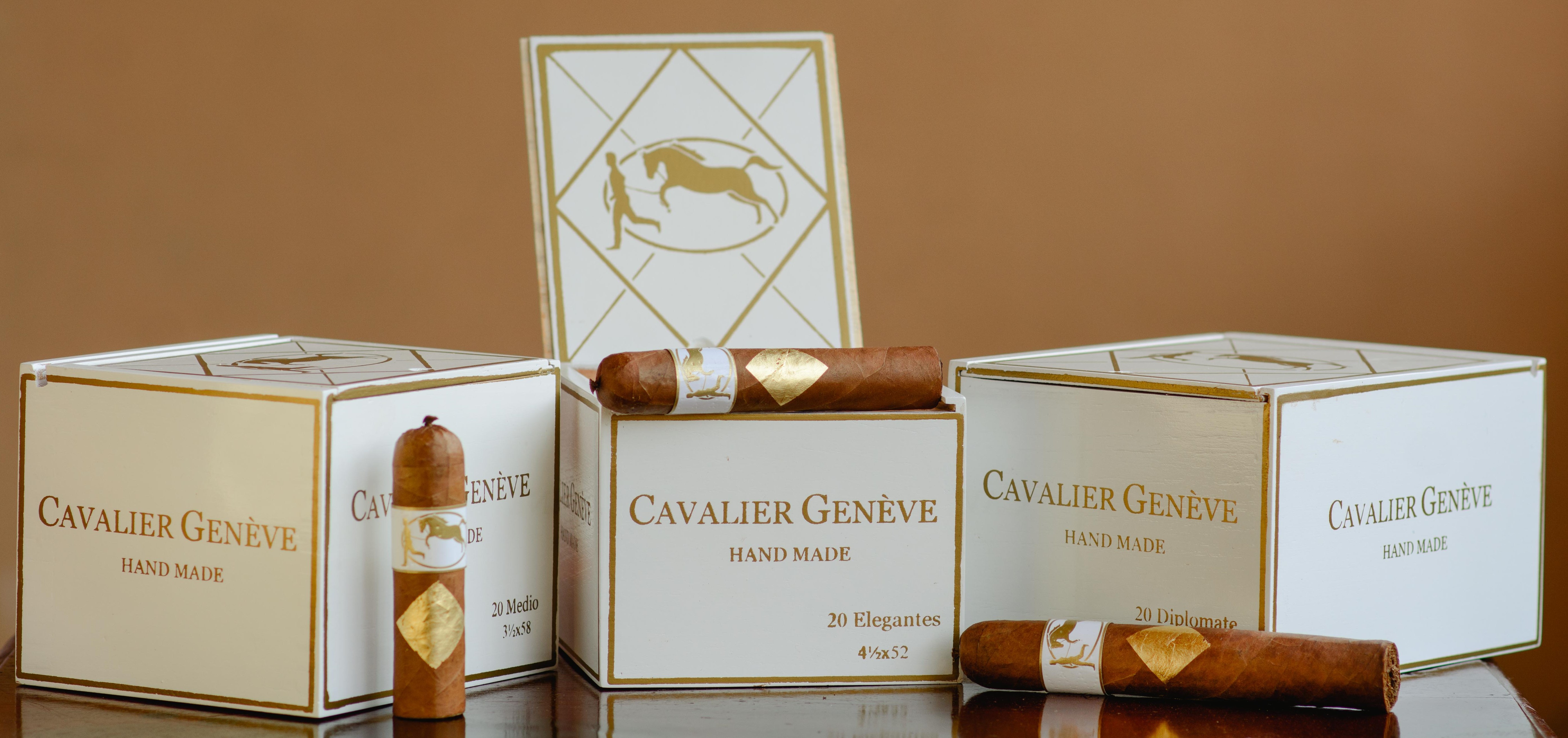 Cavalier of Geneva White Series