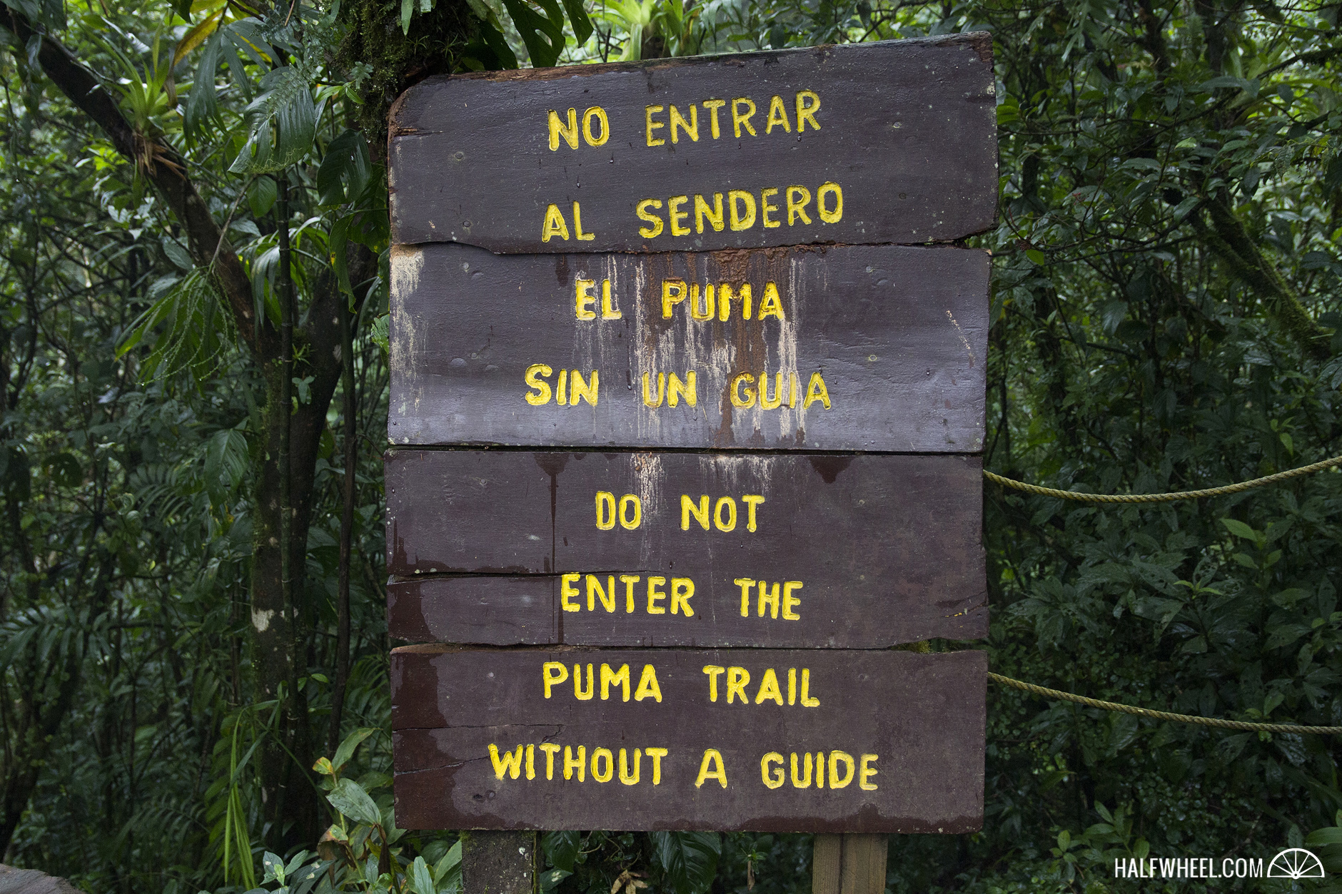 purosabor-2017-mombacho-puma-trail