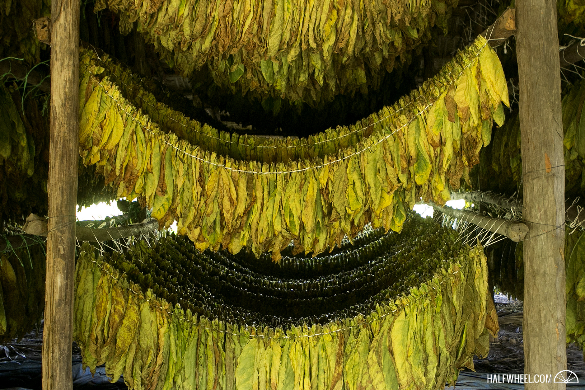 tabacalera-palma-dominican-barn
