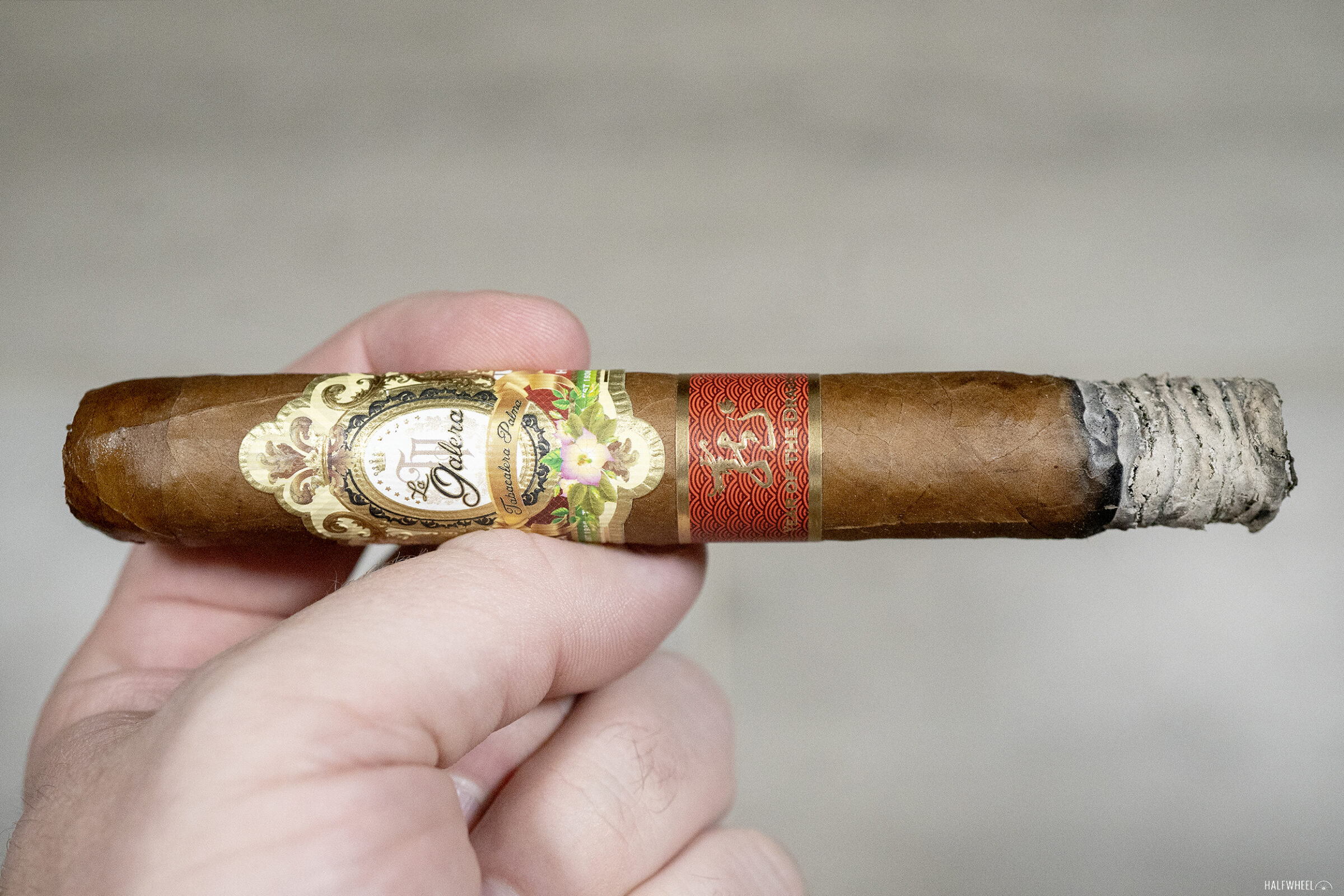 La Galera Year of the Dragon | halfwheel